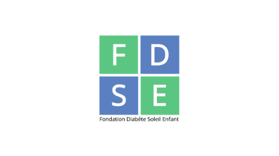 Logo de FDSE